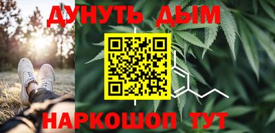 гидра Гагарин